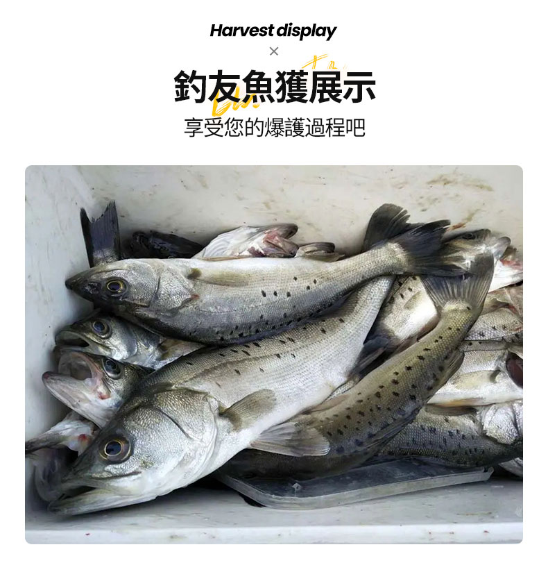 1712817797607895.png